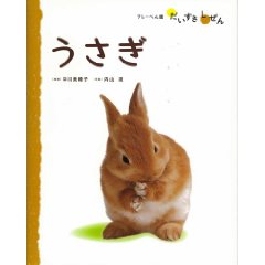 �������i�t���[�x���فj