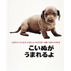 こいぬがうまれるよ(福音館書店)